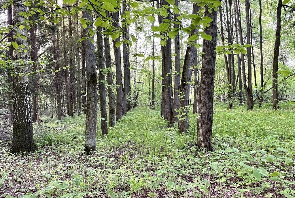 земля г Домодедово территория КП Данилово Парк фото 1