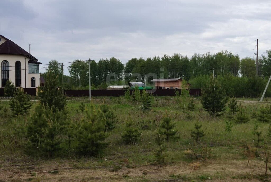 земля г Тюмень тер дачное некоммерческое товарищество Березка Подушкино, село Каменка фото 2