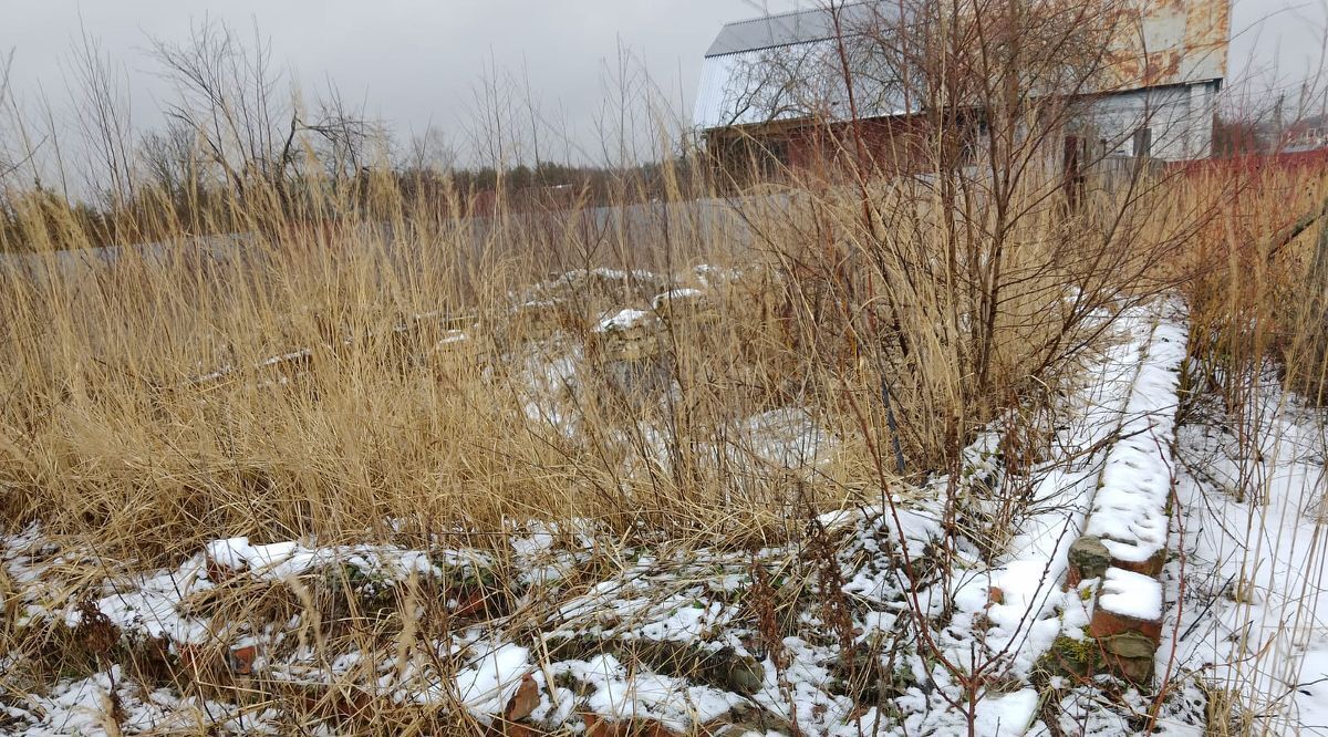 земля городской округ Орехово-Зуевский д Мисцево 80 фото 4