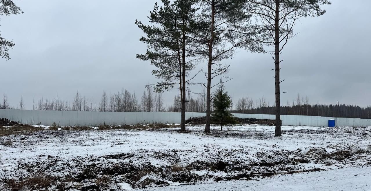 земля р-н Всеволожский г Всеволожск Дорога жизни, 12 км, Всеволожское городское поселение, коттеджный пос. Щеглово Сити, 20 фото 2