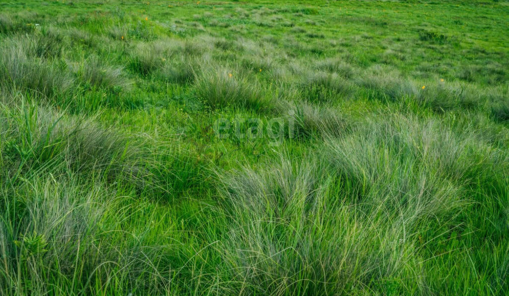 земля р-н Мариинский г Мариинск — Кузбасс фото 4