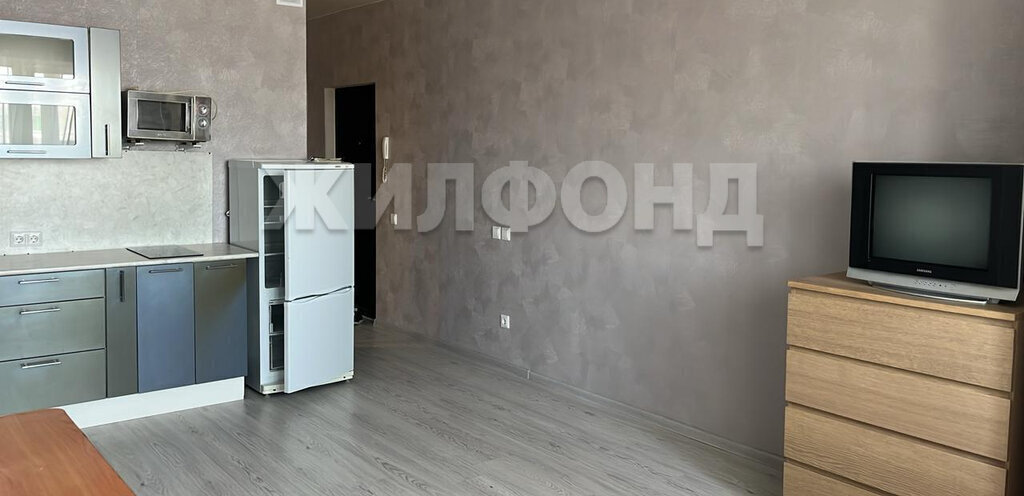 квартира г Новосибирск ул Виктора Уса 4 Площадь Маркса фото 4