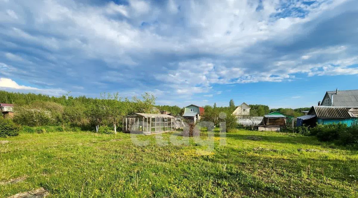 земля г Кострома снт Майский фото 3
