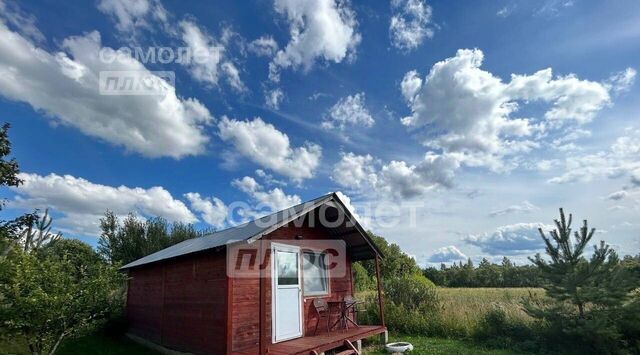 Пушкиногорье городское поселение, 40, д. Петровское фото