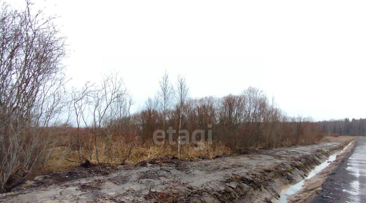 земля р-н Всеволожский г Всеволожск ул. Андрея Молчанова фото 5