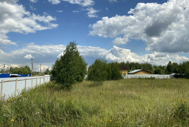 днп терУ Берега Раменское, Раменский муниципальный округ фото