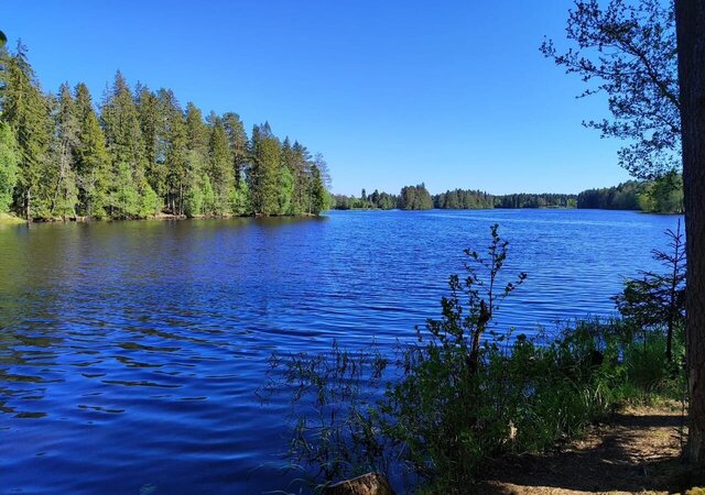 Выборгское шоссе, 34 км, Рощинское городское поселение, 12-я Озёрная ул., 15, Рощино фото