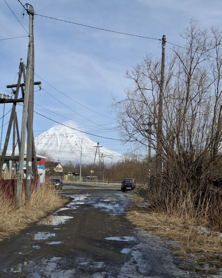 земля р-н Елизовский г Елизово ул Торговая Елизовское городское поселение фото 3