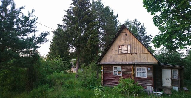 снт ЛОМО 79 км, Гатчинский муниципальный округ, 4-я линия, 133, Дружная Горка, Киевское шоссе фото
