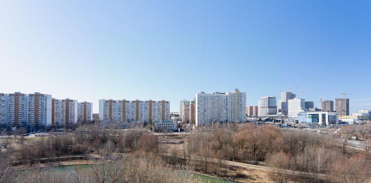квартира г Москва метро Озерная пр-кт Мичуринский пр-кт Олимпийский 25 деревня фото 2