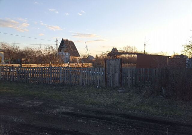 р-н Знаменский снт Лесная поляна Котовск фото