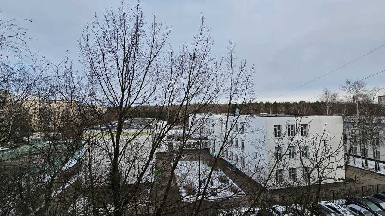 квартира г Зеленоград Зеленоград МЦД-3, адм. округ 8-й мкр, К 810 фото 28