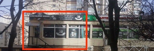 р-н Центральный ул им. Пушкина 5/1 Западный фото