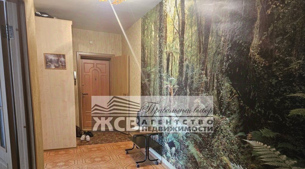квартира г Нижний Новгород Горьковская ул Ванеева 217 фото 7