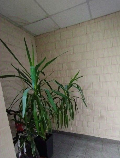 квартира г Киров р-н Нововятский ул Советская 58а фото 16