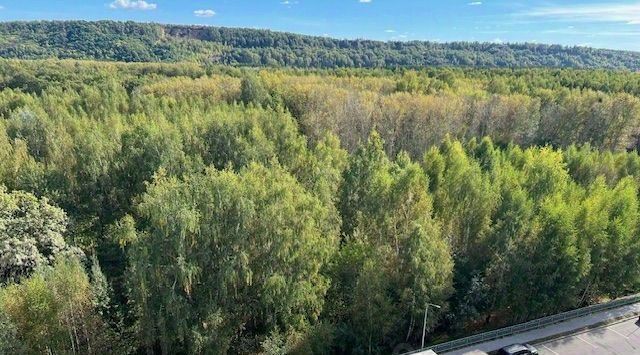 квартира г Нижний Новгород р-н Автозаводский ул Бориса Видяева 26 фото 16