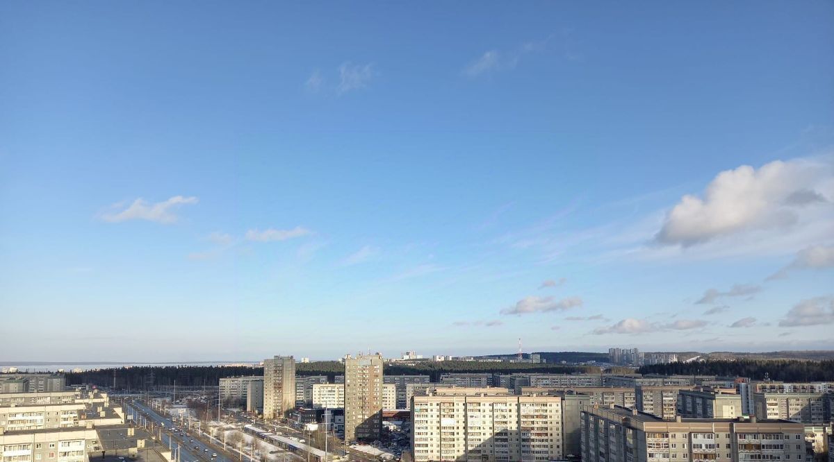 квартира г Петрозаводск ш Лососинское 38к/1 фото 6