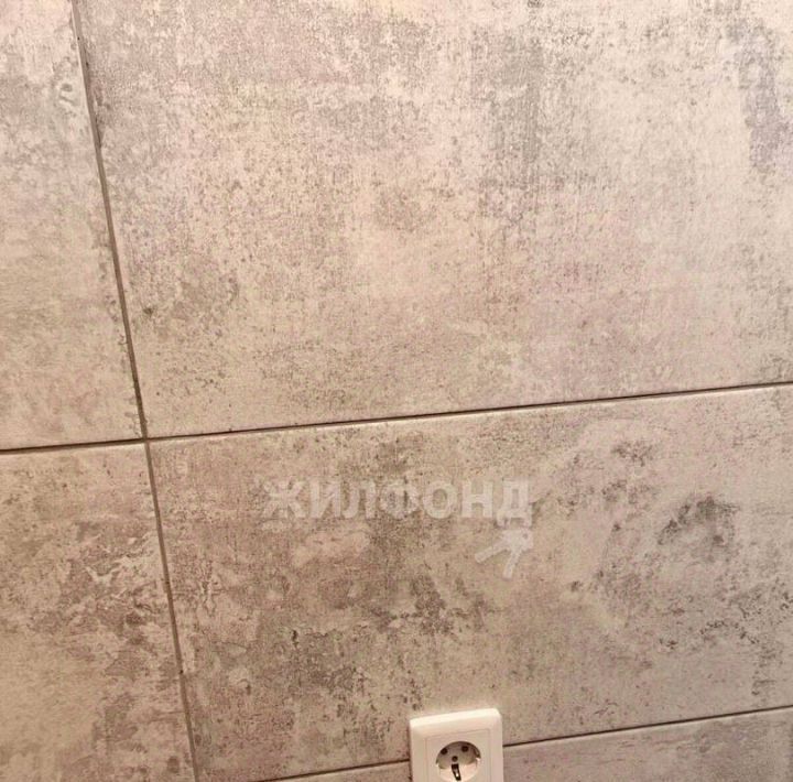 квартира г Новосибирск ул Междуреченская 3 Площадь Ленина фото 9