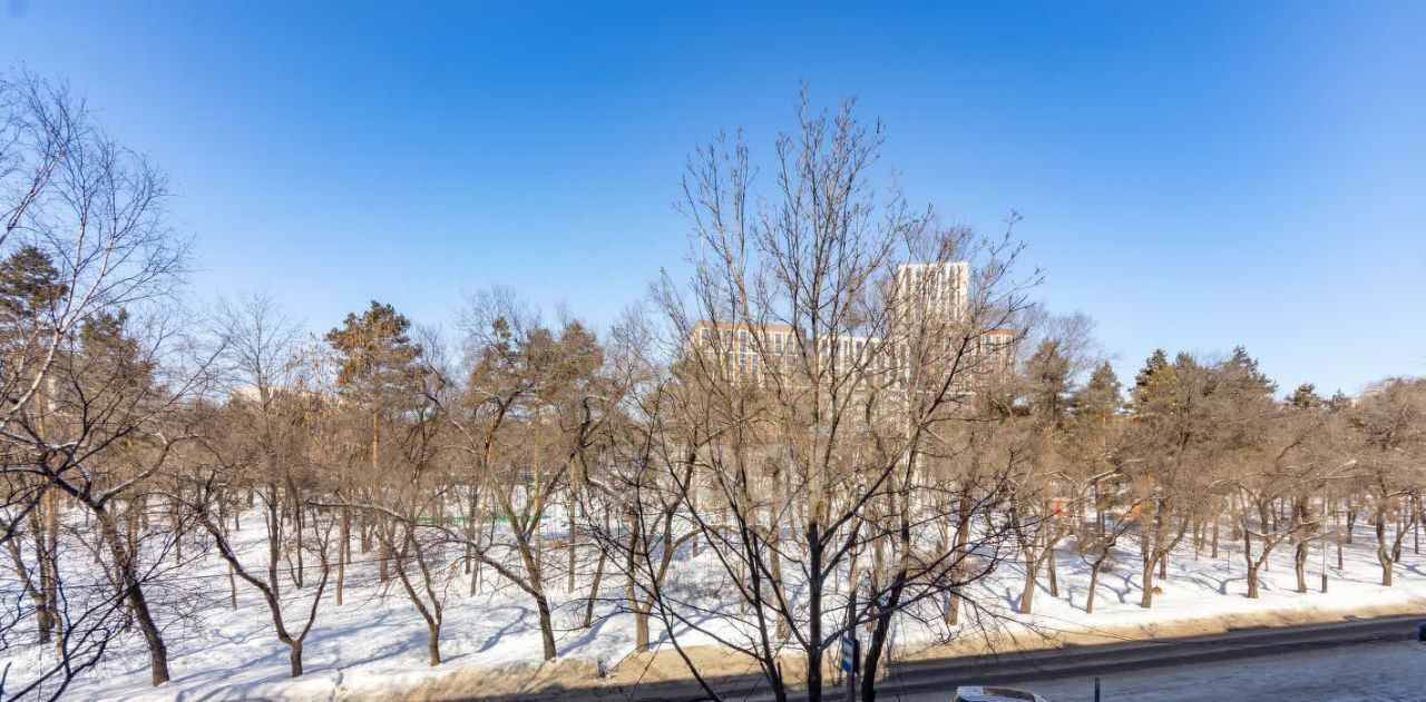 квартира г Хабаровск р-н Центральный б-р Амурский 38 фото 11