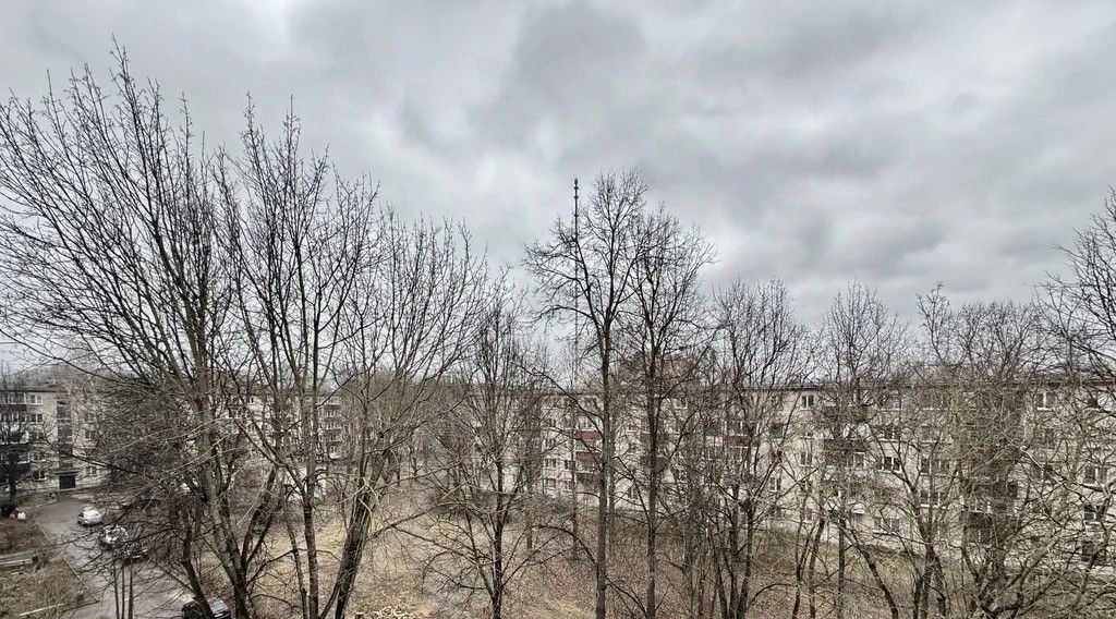 квартира г Обнинск пр-кт Ленина 114 фото 9