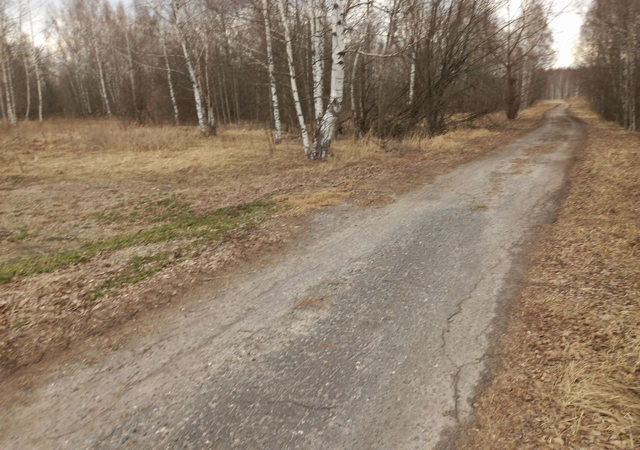 земля г Бор с Линда Центральная ул., 124, д. Шубино фото 8
