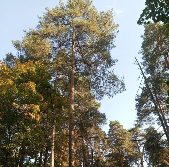 квартира г Раменское ул Космонавтов 5 Есенинская фото 16
