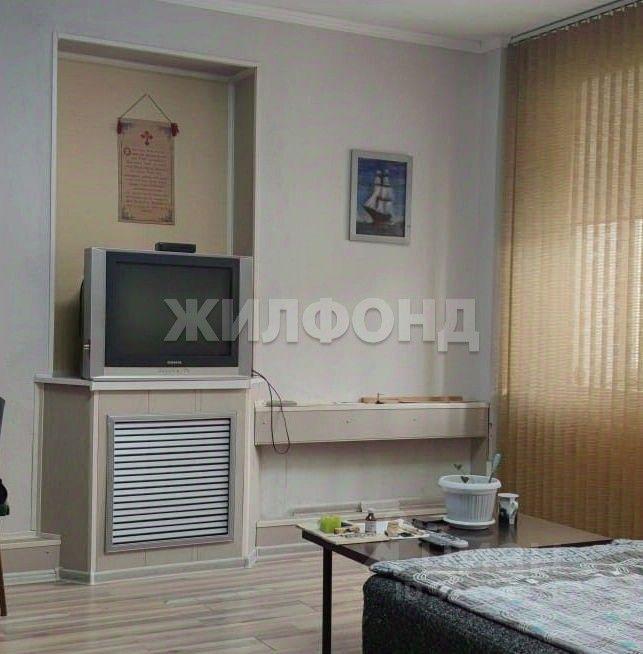 квартира г Новосибирск р-н Октябрьский ул Добролюбова 263 фото 1