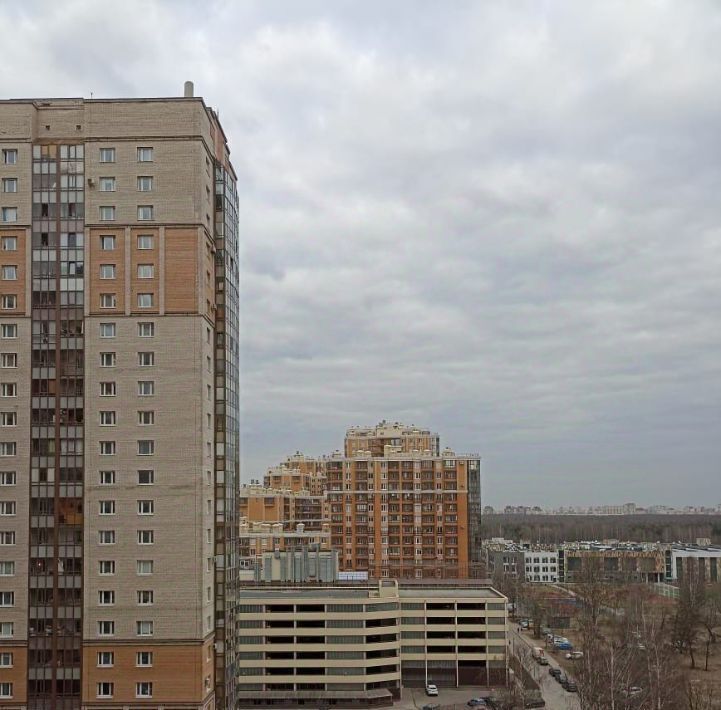 квартира г Санкт-Петербург метро Озерки ул Есенина 1к/1 фото 14