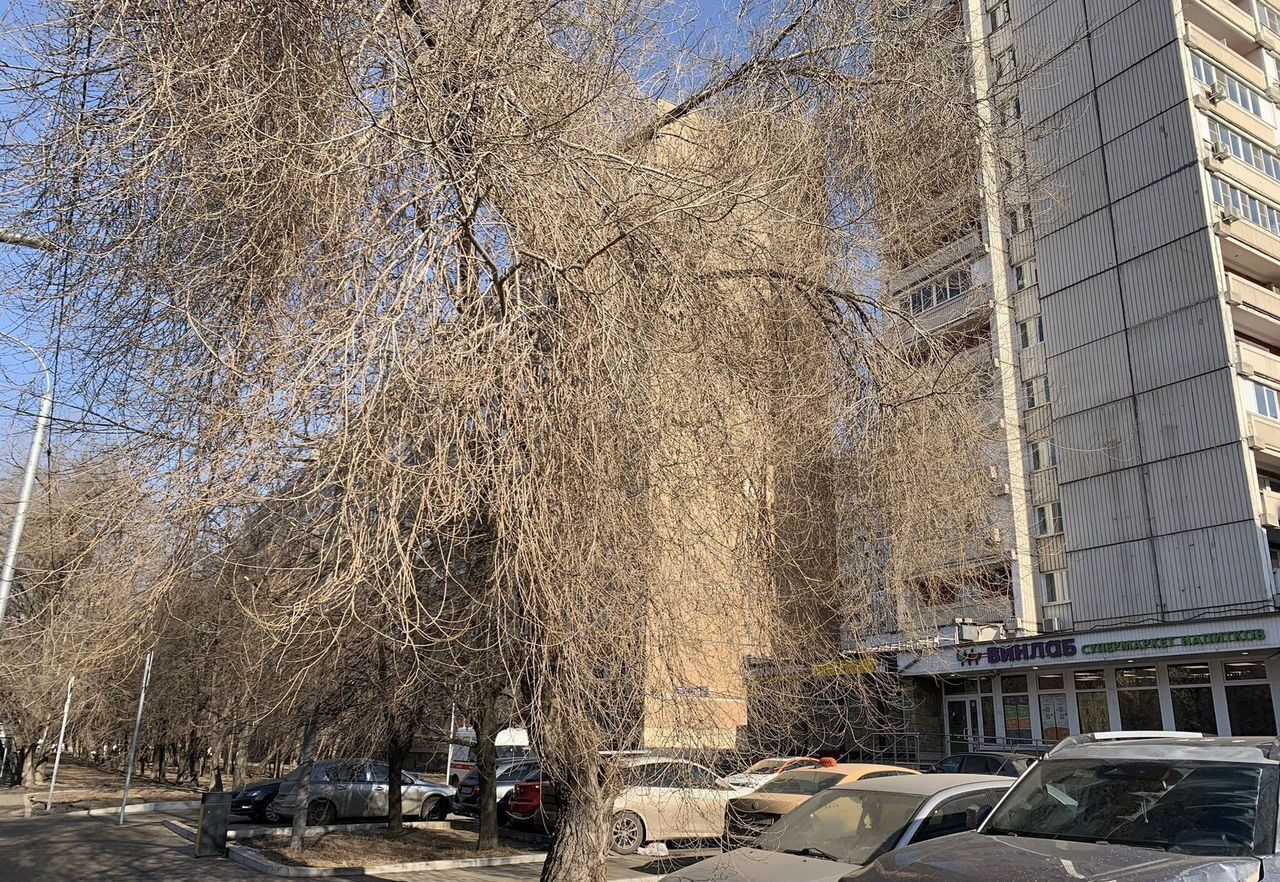квартира г Москва метро Волжская б-р Волжский 43 фото 9