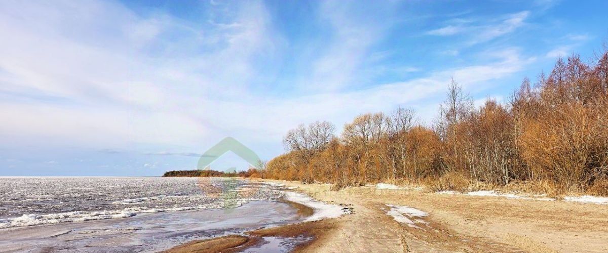 земля р-н Гдовский г Гдов д Подкурье фото 1