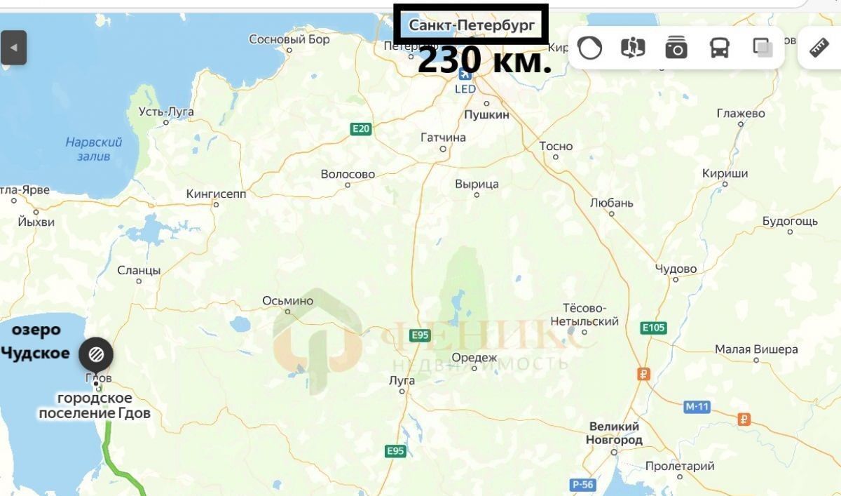 земля р-н Гдовский г Гдов д Подкурье фото 2