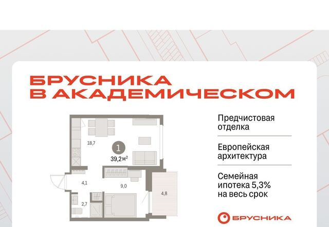 Чкаловская ЖК Брусника в Академическом фото