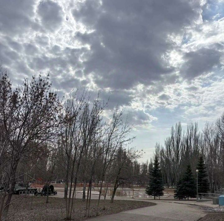 квартира г Самара Спортивная ул Мориса Тореза 103 фото 10