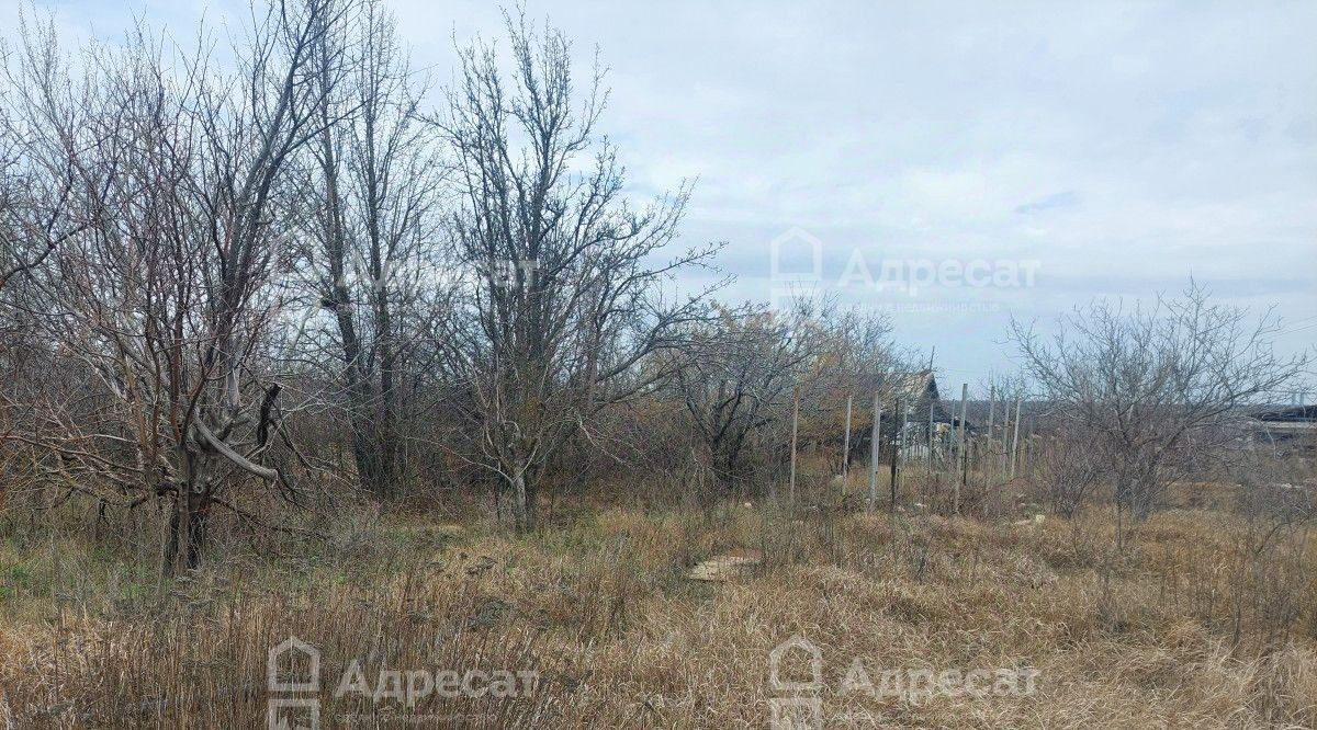 земля г Волгоград р-н Советский снт тер.Куйбышевец фото 4