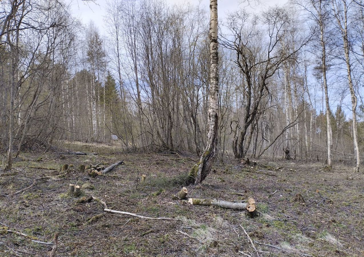 земля р-н Вытегорский г Вытегра 19-222 ОПМЗ 19Н-033 фото 4