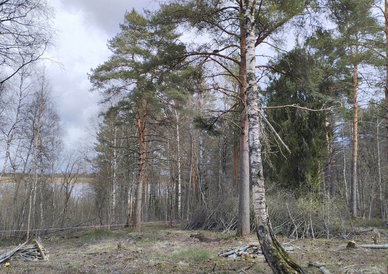 земля р-н Вытегорский г Вытегра 19-222 ОПМЗ 19Н-033 фото 2
