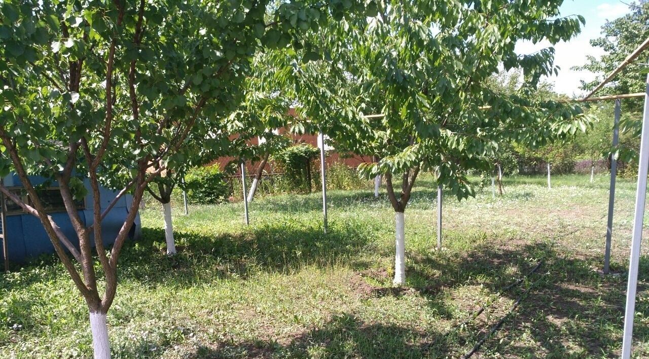 дом г Батайск снт Лесная Поляна ул Тополиная 38 садоводческое товарищество фото 18