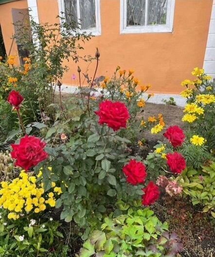 дом г Магнитогорск р-н Ленинский сад Метизник 1005 фото 24