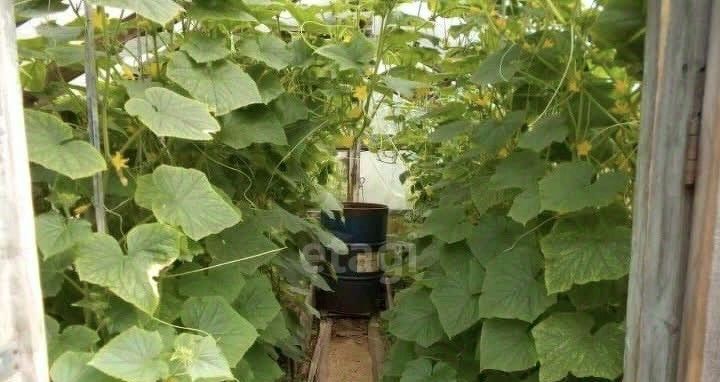 дом г Нижний Тагил р-н Дзержинский ул Юности 2а/1 фото 11