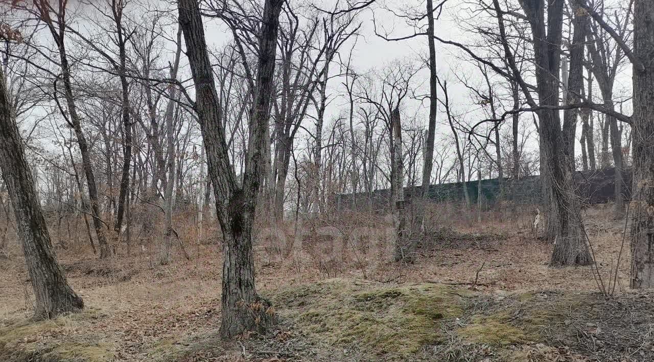 земля г Владивосток р-н Советский ул Подъемная фото 4