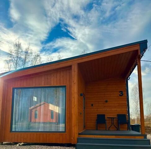 Московская область, Орехово-Зуевский городской округ, Песчаная тер., 2 фото