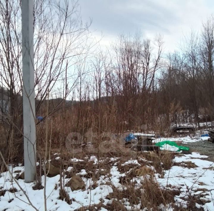 земля г Владивосток п Трудовое снт Актинидия Синяя сопка массив, 298 фото 8