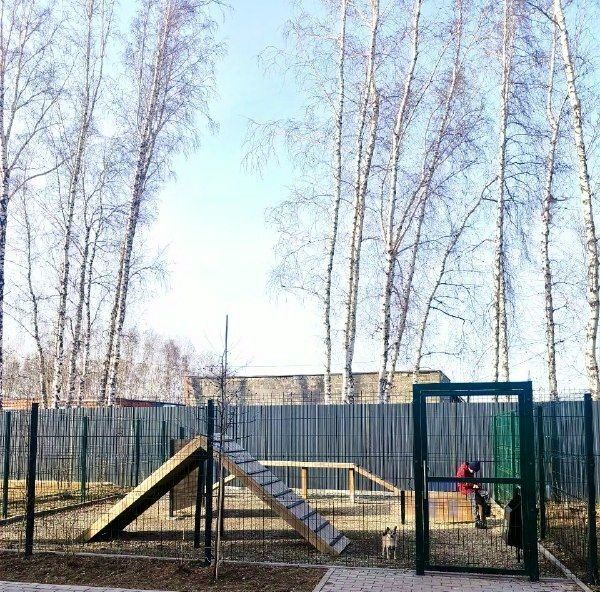 квартира г Челябинск р-н Курчатовский пр-кт Краснопольский 10 фото 7