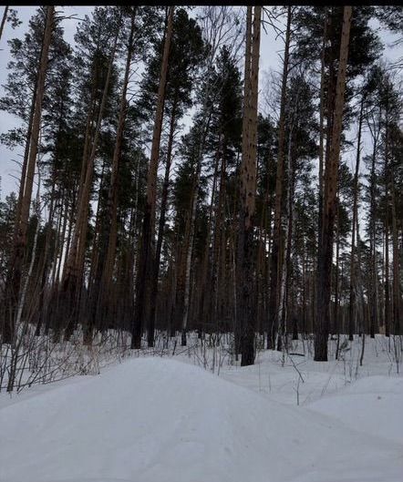 земля г Екатеринбург р-н Чкаловский дп. Кургановский, 2 фото 3
