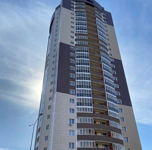 Берёзовая роща 13 фото