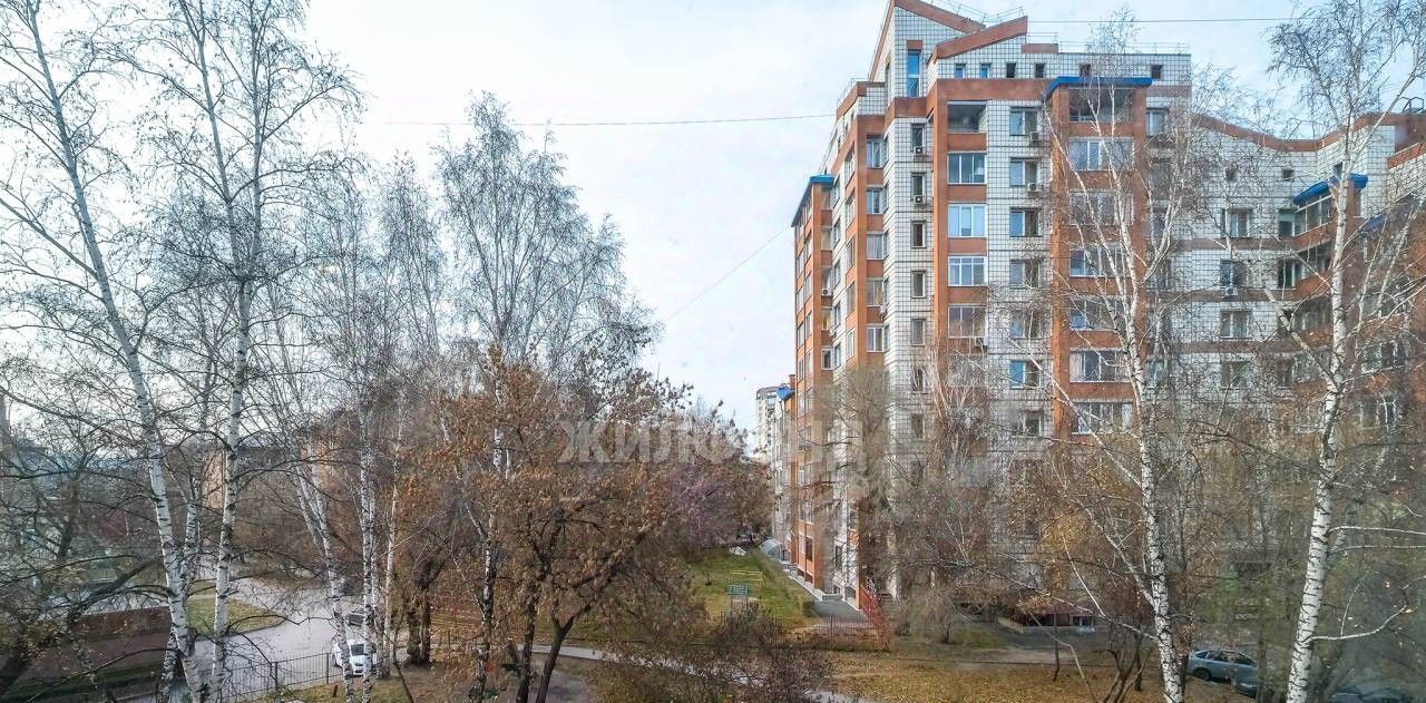 квартира г Новосибирск ул Блюхера 17/3 Площадь Маркса фото 24