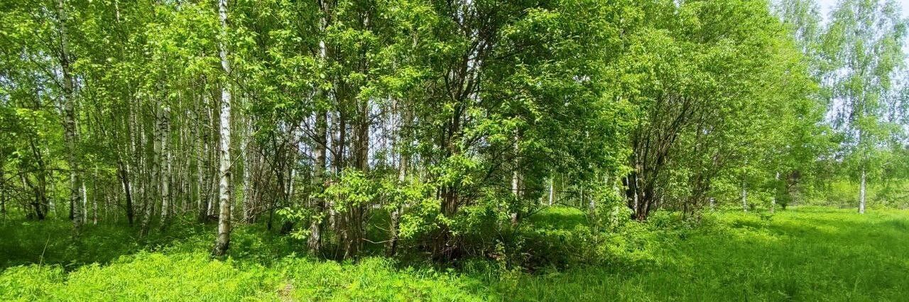 земля г Владимир р-н Октябрьский Миловка СТ, 297 фото 6