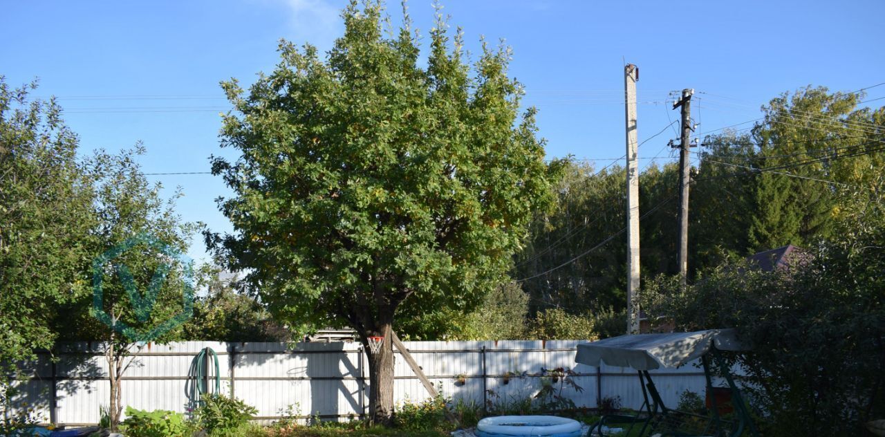 дом г Омск р-н Кировский СОСН Нефтехимик тер., аллея 11-я фото 2