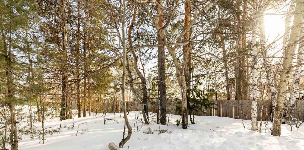 земля г Сургут п Кедровый Кедровый-2 10-я линия фото 3