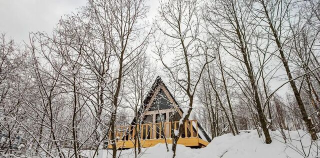 ул Живописная 14 фото